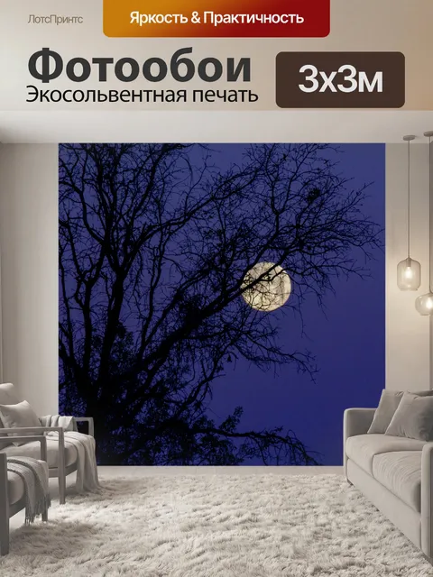 Фотообои Луна за деревьями