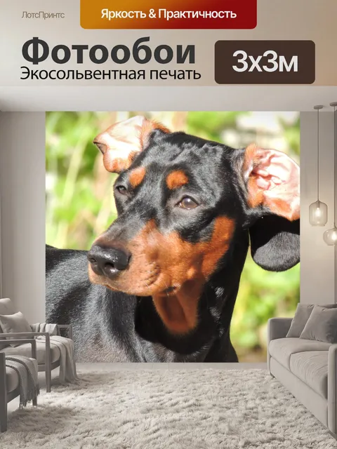 Фотообои Такса