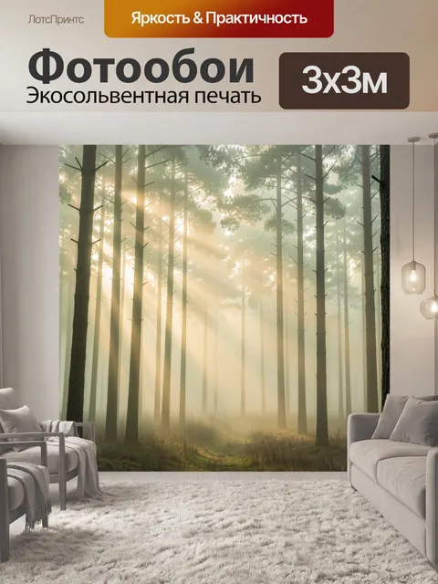 Фотообои Туманный сосновый лес с лучами