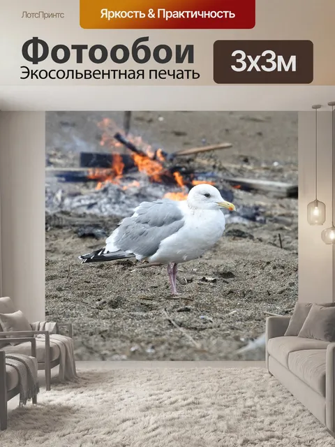 Фотообои Животное