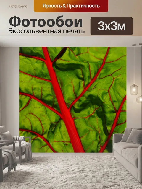 Фотообои Салат из листьев мангольда