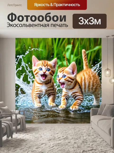 Фотообои котята, играющие в воде, splashing и весело крича
