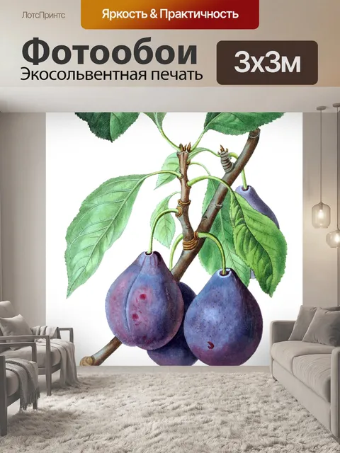 Фотообои Плоды сливы сливы винтаж старый