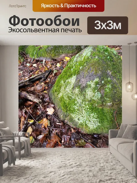 Фотообои Большой камень в лесу