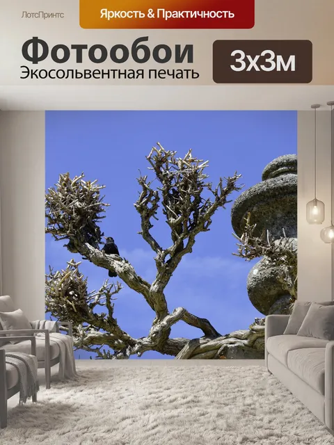Фотообои Черный дрозд