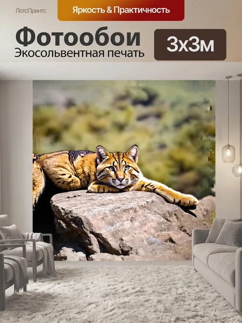 Фотообои **дикая кошка, лежащая на скальном выступе, греющаяся на солнце, с мягким фокусом**