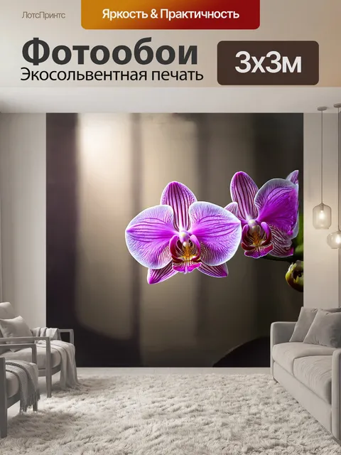 Фотообои утренняя орхидея, покрытая мелким туманом, распускается в светлом освещении, изящные формы её лепестков…