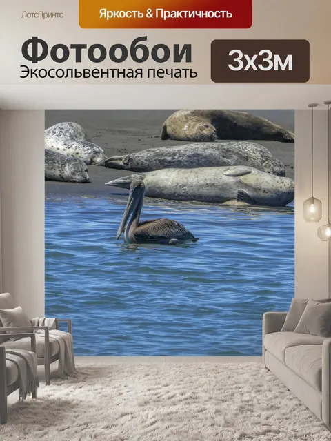 Фотообои Пеликан и тюленей