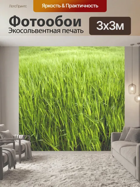 Фотообои Поле зеленого ячменя
