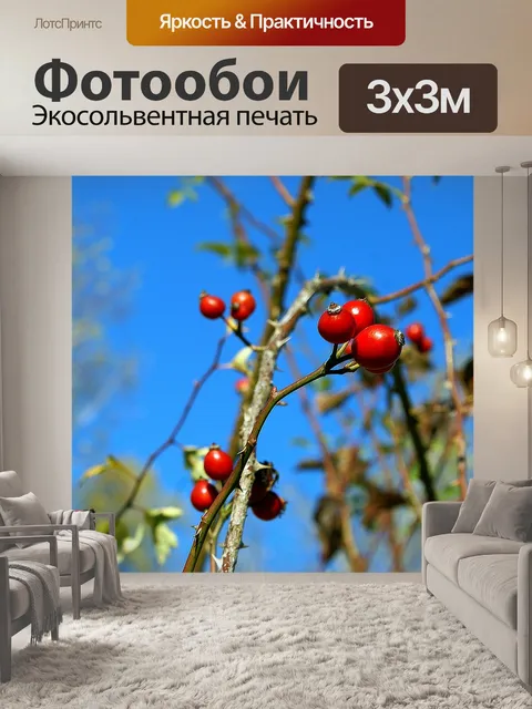 Фотообои Фрукты