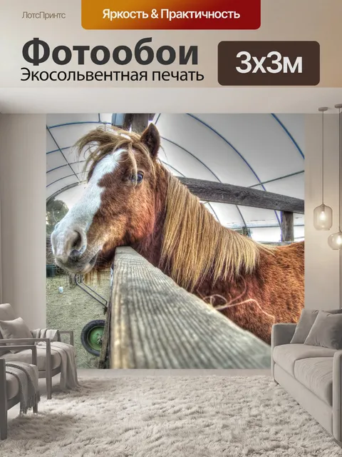 Фотообои Пони едят