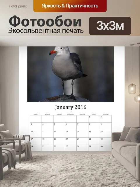 Фотообои Январь 2016 Календарь птиц