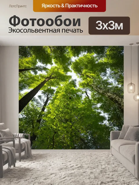 Фотообои высокий бальзам, уютные гнезда, весенний свет