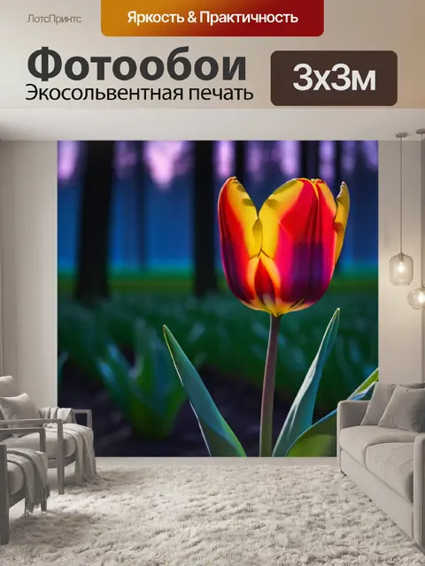 Фотообои тюльпан грация в полутьме леса