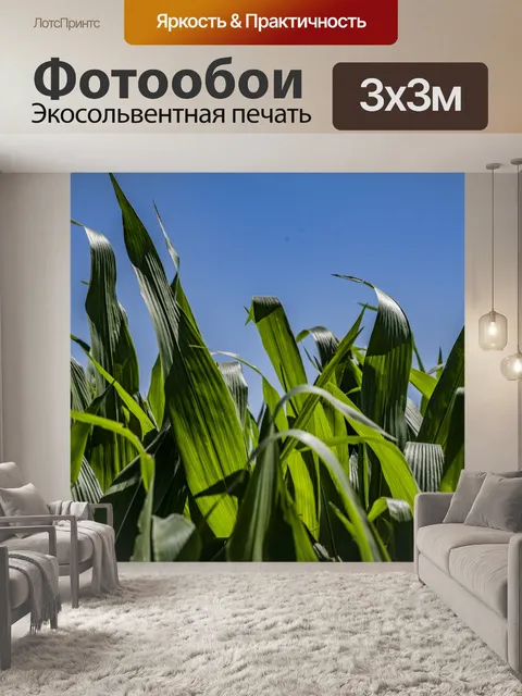 Фотообои Внутри кукурузного лабиринта