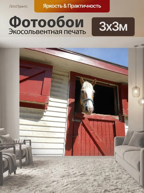 Фотообои Лошадь