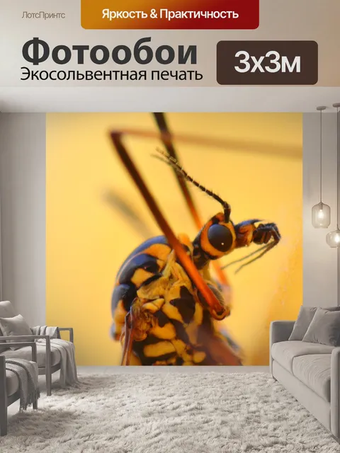 Фотообои Комар
