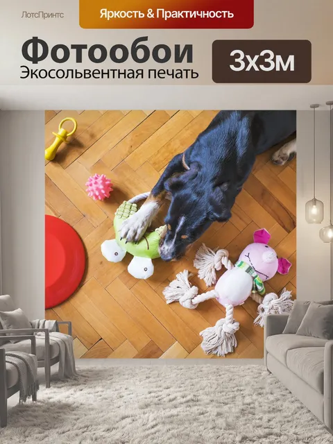 Фотообои Собака игрушки