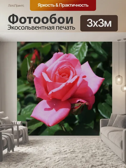 Фотообои розовые розы и бутона