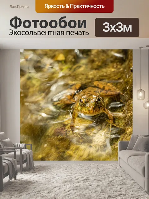 Фотообои Дикая природа
