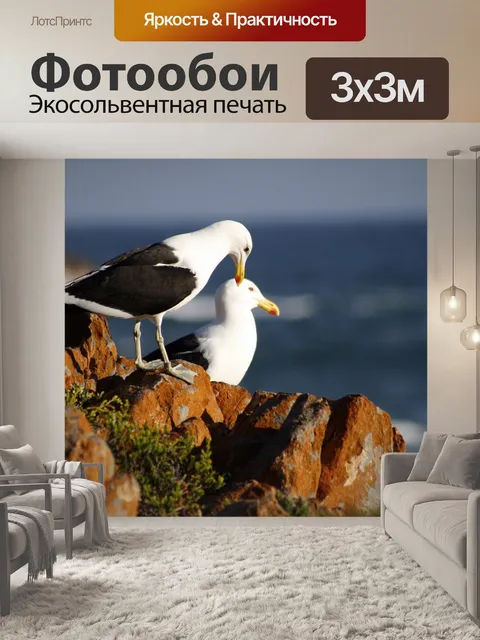 Фотообои Южная африка