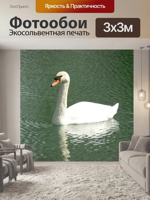 Фотообои Лебедь