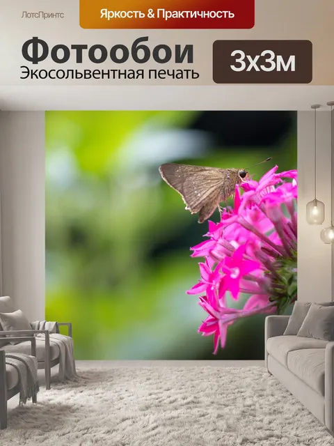 Фотообои Бабочка