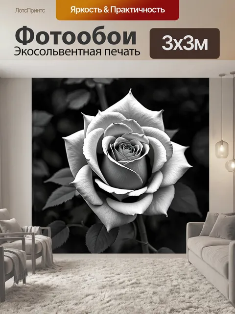 Фотообои розы в стиле черно-белый, с видом сверху, где розы распускаются в полный цвет на фоне темного пейзажа