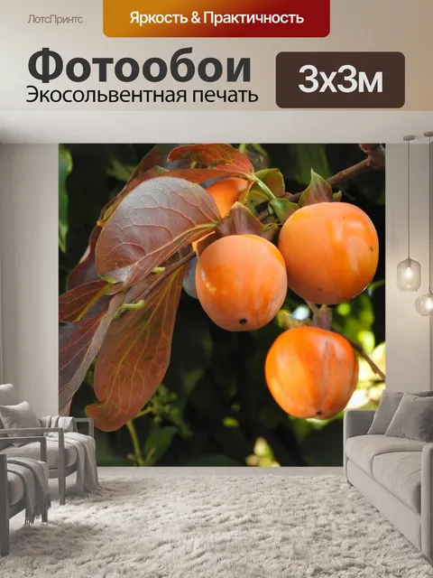 Фотообои Каки