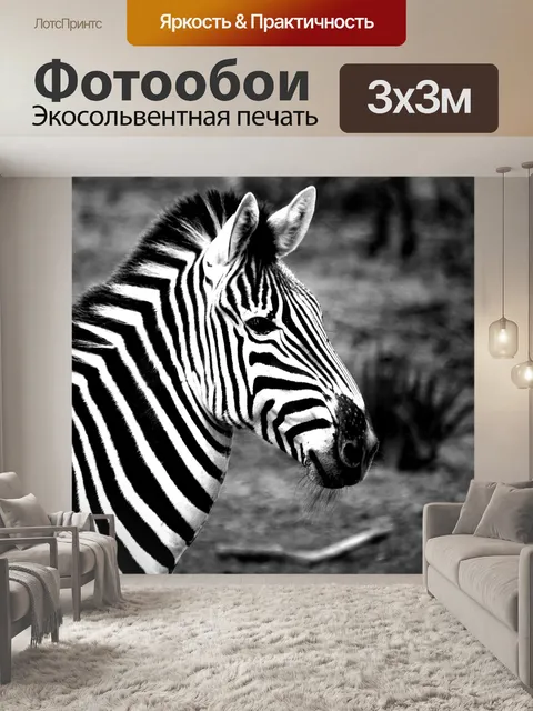 Фотообои Фон Зебры