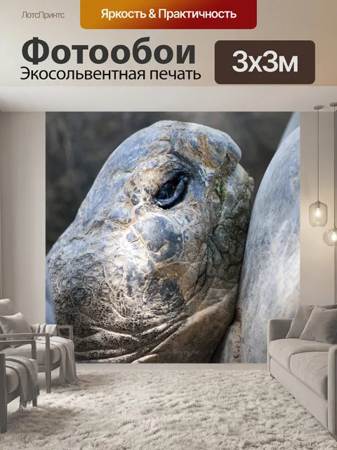 Фотообои Голова черепахи
