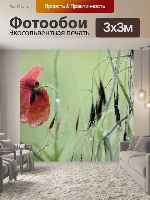 Фотообои Мак