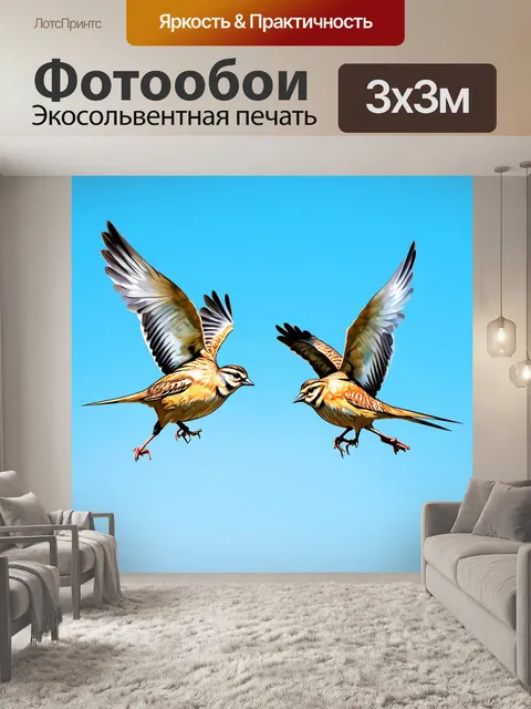 Фотообои пара жаворонков, танцующих в воздухе на фоне яркого синего неба, динамика движений, исполнение в акварели