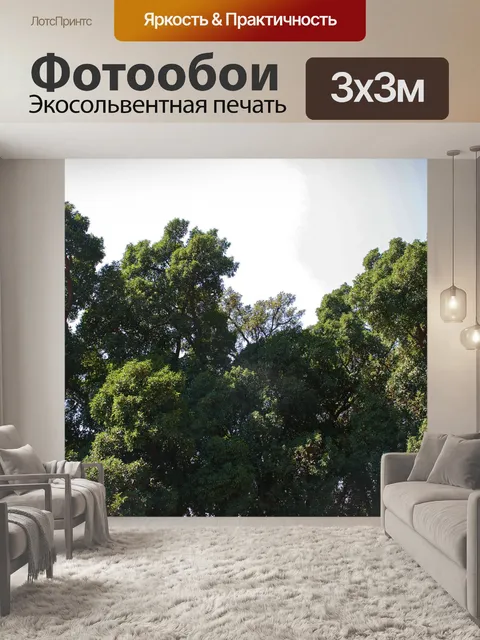 Фотообои верхушки фикусных деревьев на чудо-горе
