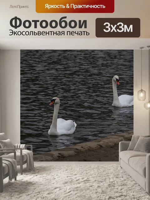 Фотообои Два лебедя на озере