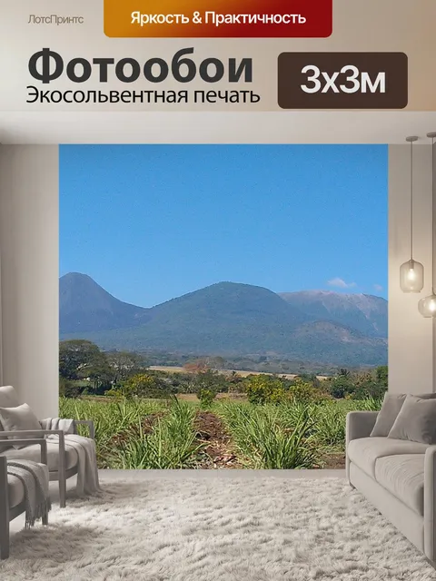 Фотообои Сальвадор