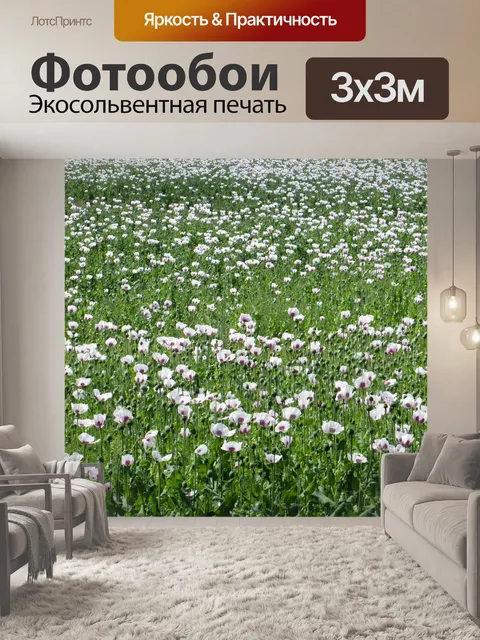Фотообои Маковое поле