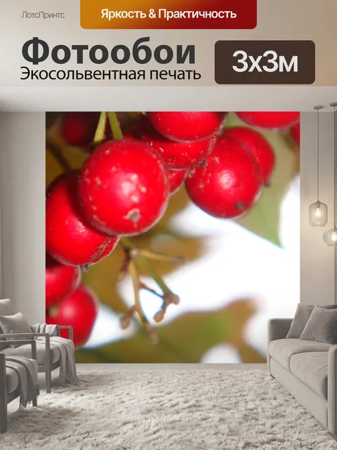 Фотообои Красные ягоды зимние