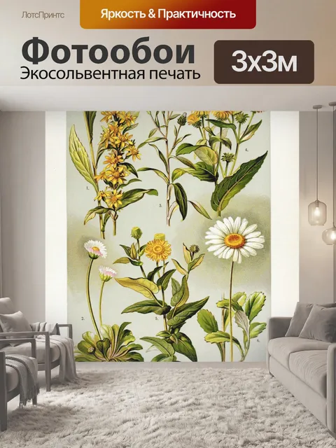 Фотообои Цветочная иллюстрация полевых цветов ста