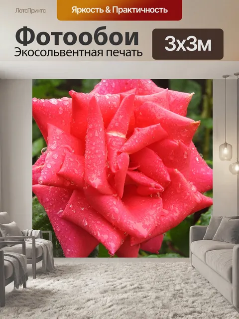 Фотообои Розовый