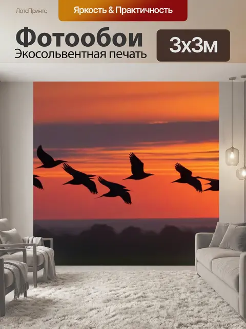 Фотообои птицы, летящие на рассвете
