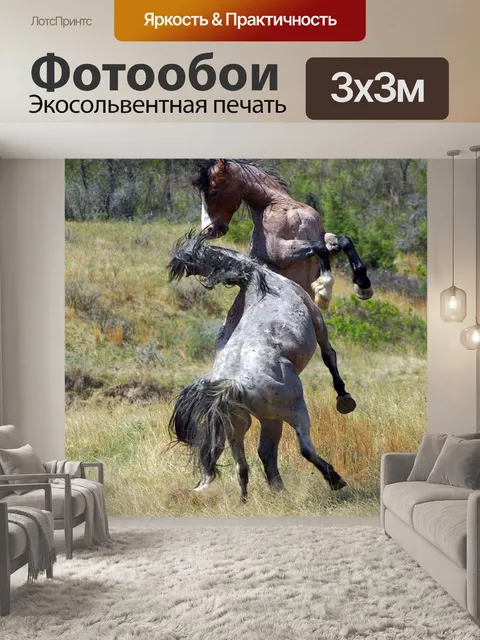 Фотообои Дикие лошади