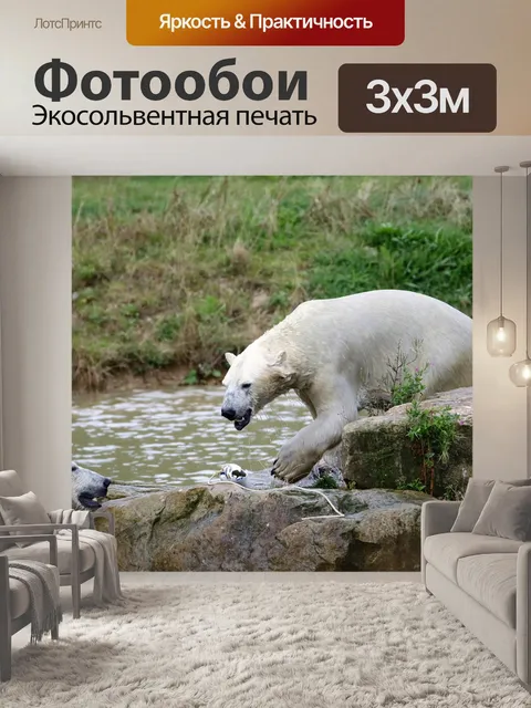 Фотообои Полярный медведь