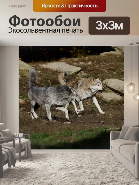 Фотообои Волки