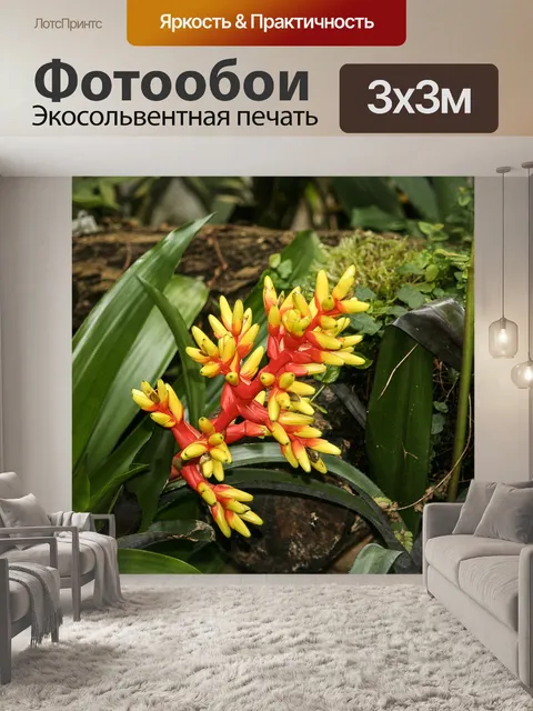 Фотообои Бромелию