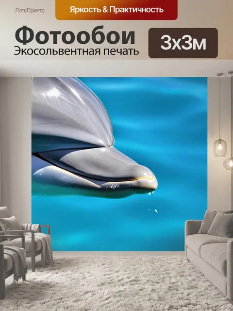 Фотообои с дельфином