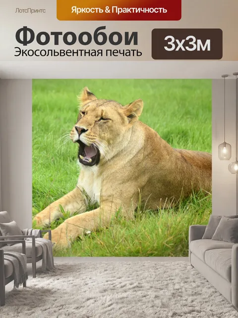 Фотообои Лев