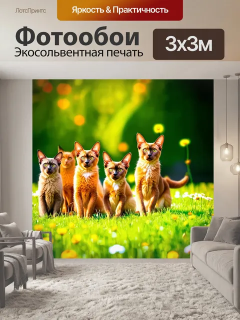 Фотообои сцена, где группа абиссинцев играет на зеленом лугу под ярким солнечным светом, со случайными цветами вокруг