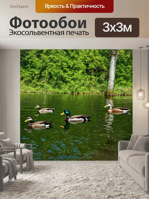 Фотообои лесное озеро с чистой водой, отражение деревьев на поверхности, утки плавают