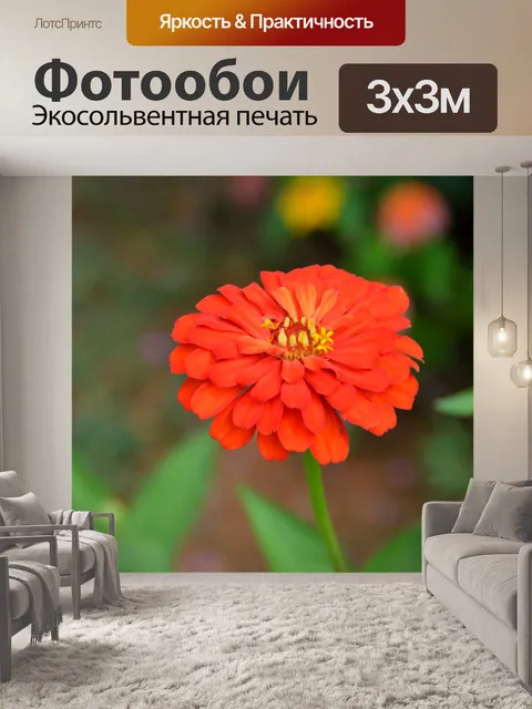 Фотообои Яркий цветной цветок